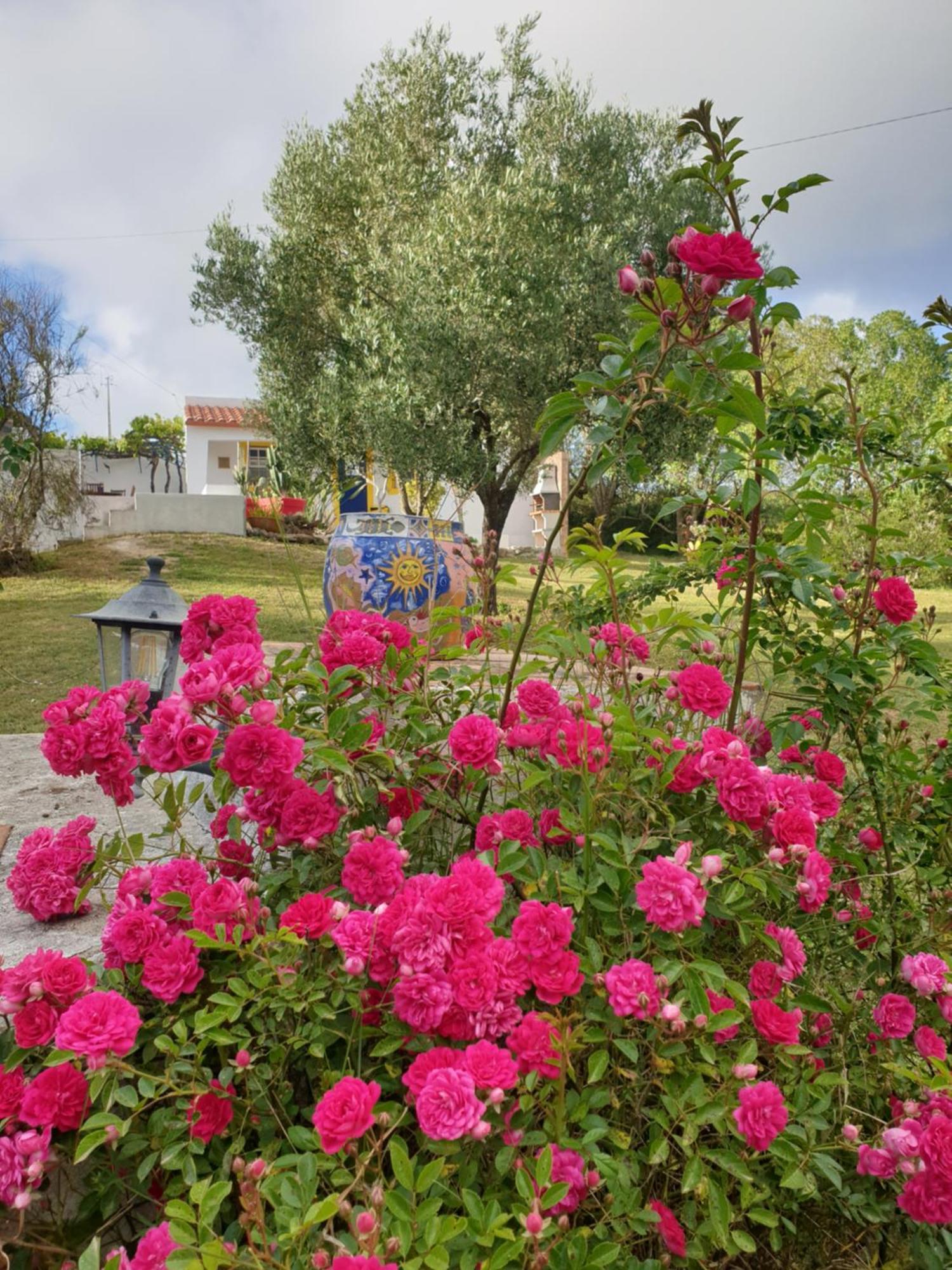 Sondela Self Catering Apartment Сао Мартино до Порто Екстериор снимка